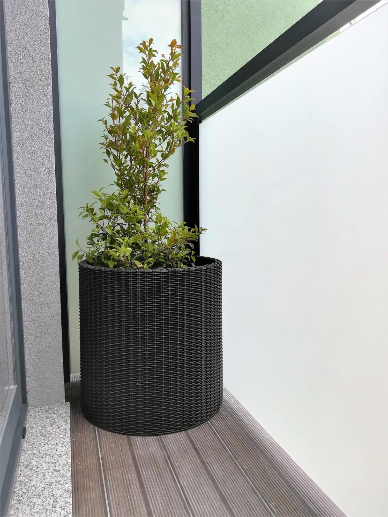 Aposentus - Your Home At Pinheiro'S Studio Porto Exterior foto